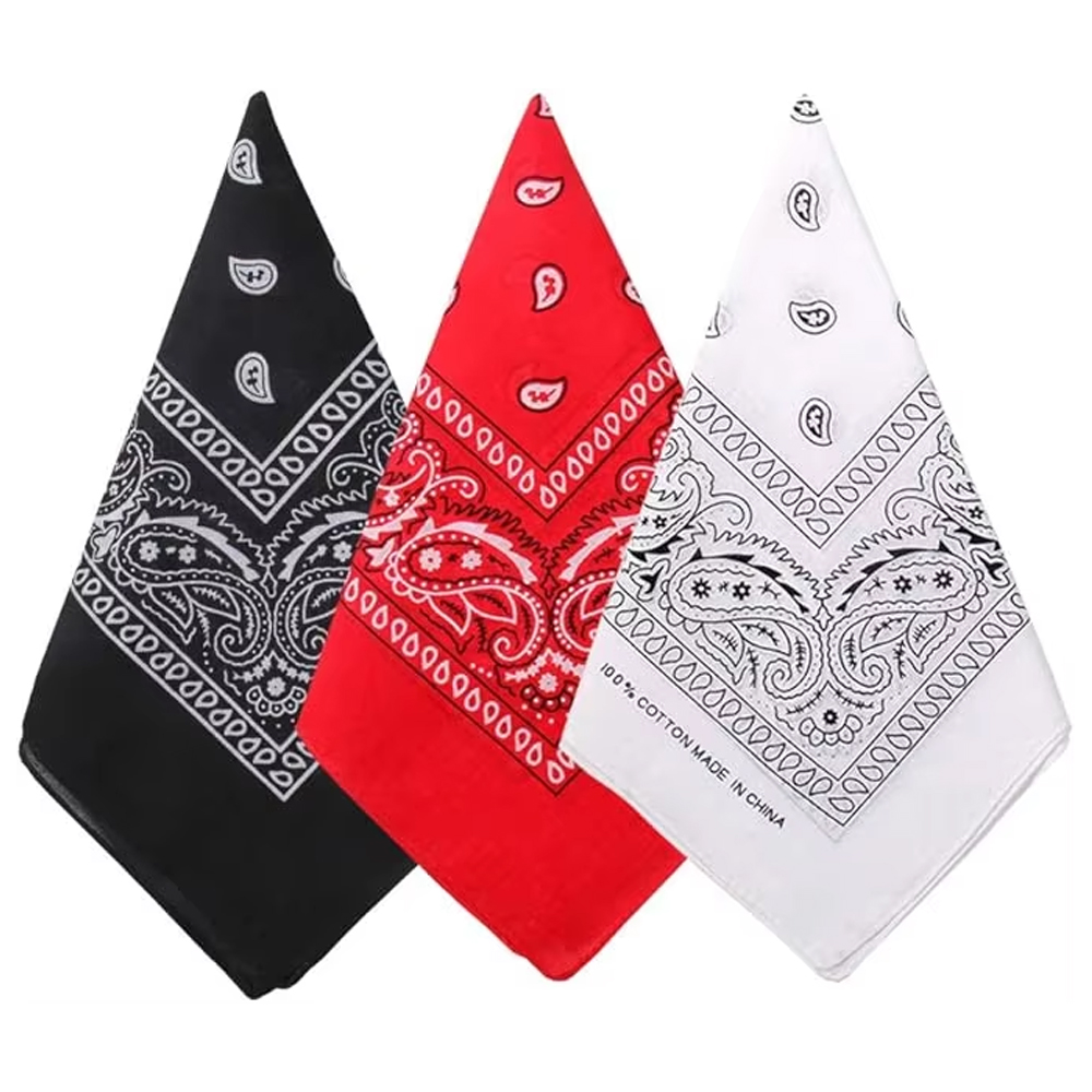 Sciarpa Paisley da cowboy Hip  - Bandana Blank White recensione e prezzo